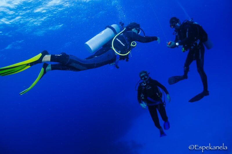 Costa Maya: Discover Scuba Diving Reef Experience - Booking and Cancellation