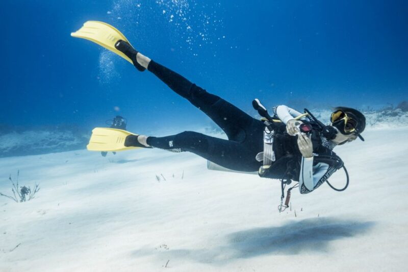 Costa Maya: Discover Scuba Diving Reef Experience - Safety Considerations