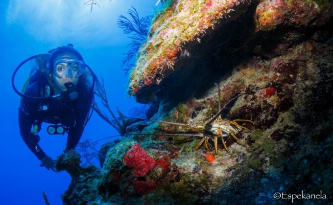 Costa Maya: Discover Scuba Diving Reef Experience - Additional Tips