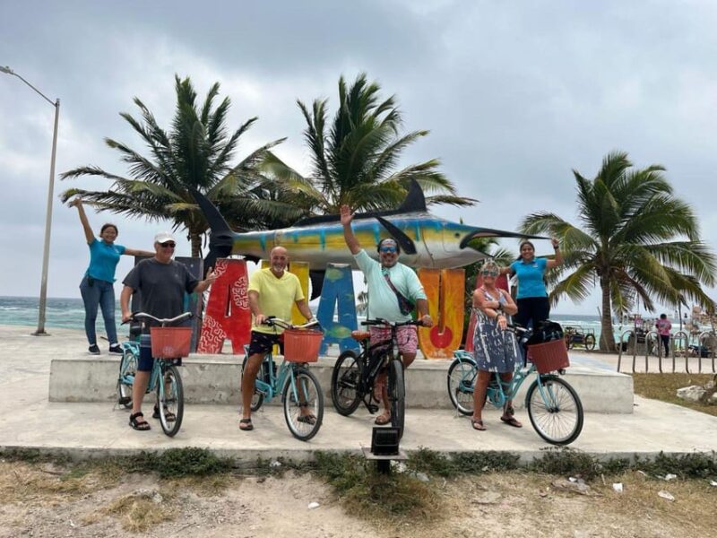COSTA MAYA E.BIKES RENTAL - Experience Details