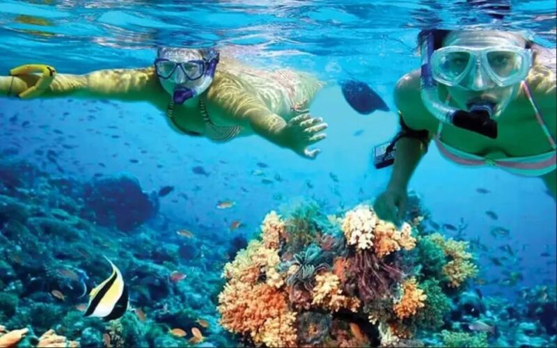 Costa Maya: Mahahual Snorkeling Adventure Tour - Snorkeling Experience