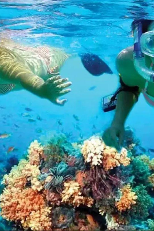 Costa Maya: Mahahual Snorkeling Adventure Tour - Itinerary