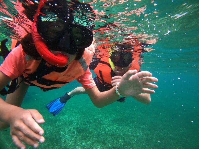 Costa Maya: Mahahual Snorkeling Adventure Tour - Pickup and Transportation