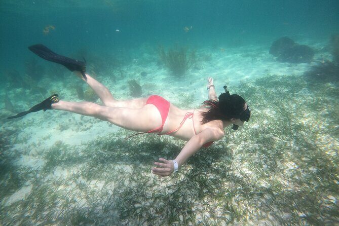Costa Maya, snorkeling on the reef with fish, looking for turtles - The Challenges and What to Keep in Mind