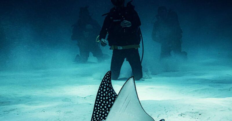 Costa Maya: Two Tanks for Certified Divers Fun Dive - Equipment and Inclusions