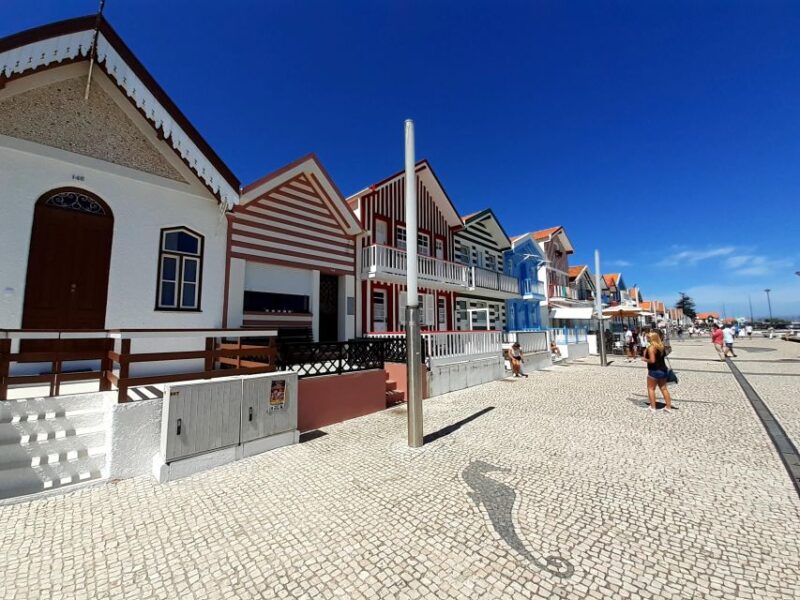 Costa Nova Tour Color Stripe Houses - Participant Information