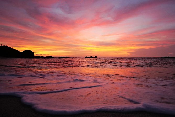 Costa Rica Adventure Package Beach and Rainforest 8 Days - Itinerary Highlights