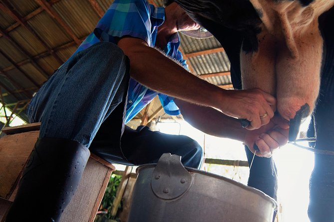 Costa Rica Campesino Farm Tour - Hands-on Farm Activities