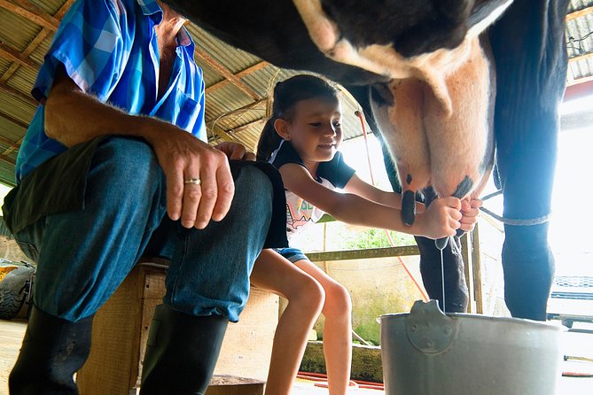 Costa Rica Campesino Farm Tour - Important Tour Details
