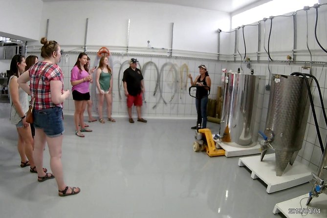 Costa Rica Central Valley Wine, Beer, and Mead Tour and Tasting - Sample Menu