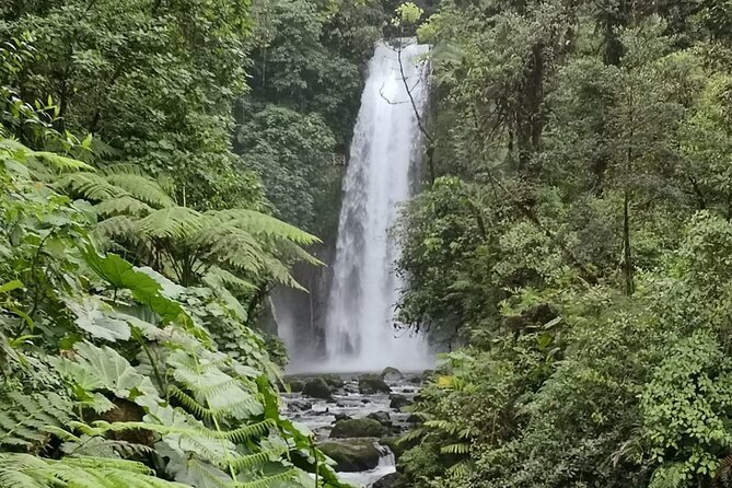 Costa Rica Day Trip Tour With Lunch - La Paz Waterfall
