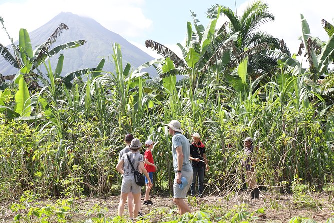 Costa Rica Descents Organic Farm - Sustainable Practices