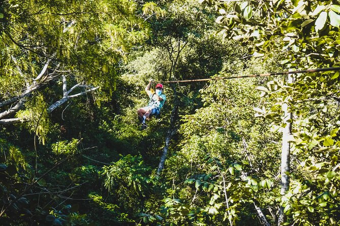 Costa Rica Monkey Jungle Zipline From Tamarindo - Ziplining Adventure