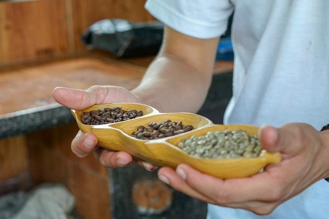 Costa Rican Coffee and Chocolate Crafting Experience: North Fields Cafe - Pricing and Booking Information