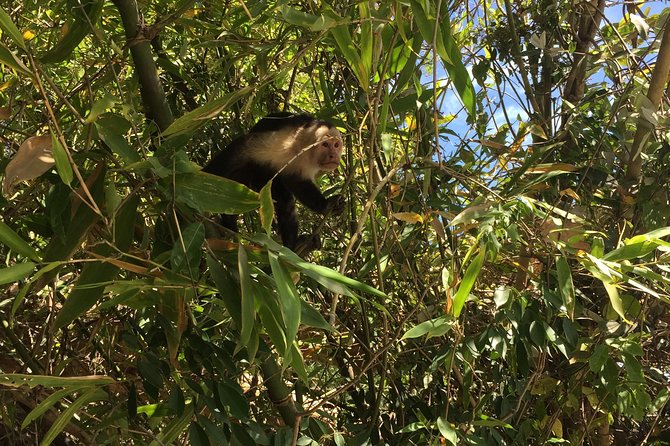 Costa Rican Wildlife: Palo Verde National Park Private Tour - Tour Pricing and Details