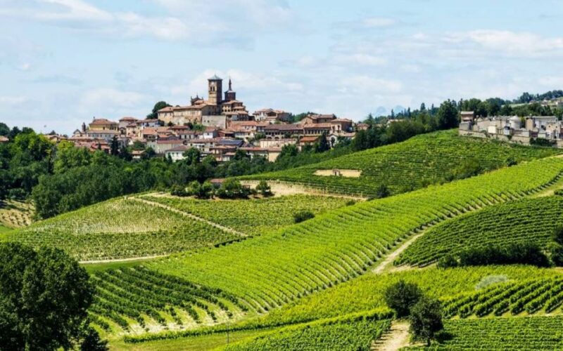 Costigliole D'asti: E-Bike Tour With Food and Wine Tasting - Wine Tastings
