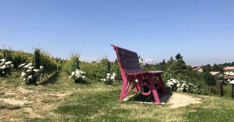 Costigliole D'asti: Guided Walking Tour With Wine Tasting - Key Points