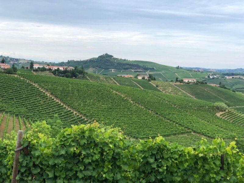 Costigliole D'asti: Guided Walking Tour With Wine Tasting - Booking Information