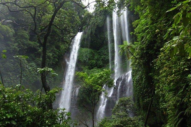 Costumize Trip Sekumpul Waterfall,Wanagiri Hill Hidden & Handara Gate Heaven - Pricing and Guarantee