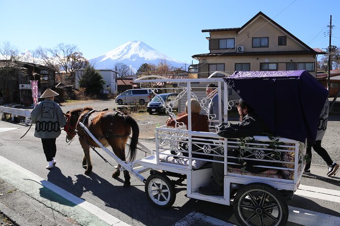 Cosy Horse Carriage Ride With Snowy Mt. Fuji Views - The Cosy Horse Carriage Experience