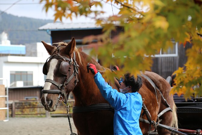 Cosy Horse Carriage Ride With Snowy Mt. Fuji Views - Meeting Point and Transportation