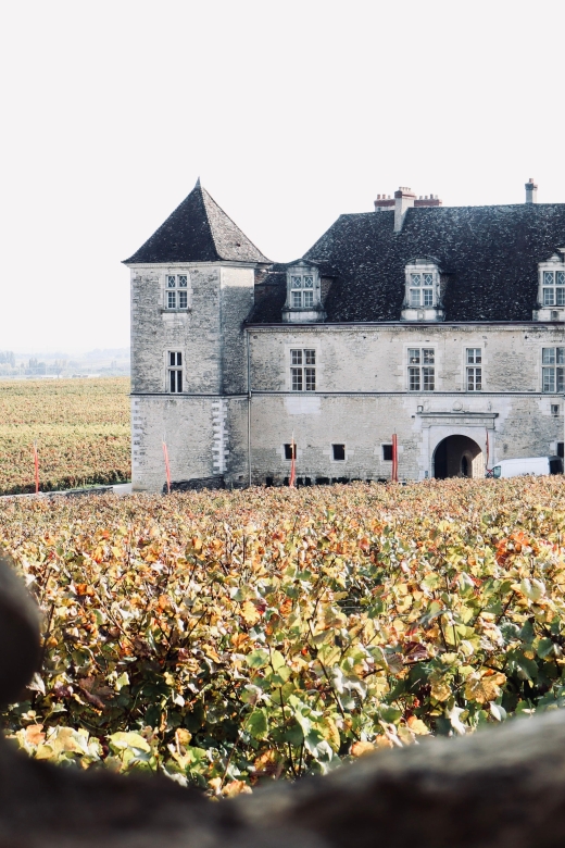 Côte De Beaune and Côte De Nuits: Private Full Day Wine Tour - Exploring the Côte De Nuits