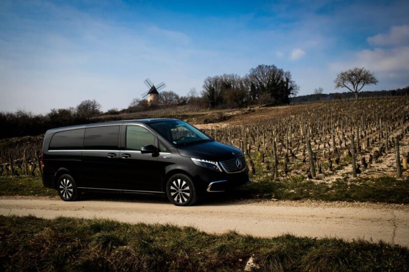 Côte De Beaune and Côte De Nuits: Private Full Day Wine Tour - Wineries Visited in Côte De Beaune
