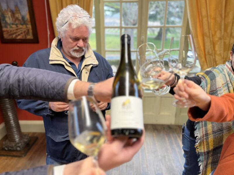Côte De Beaune Private Local Wineries and Wine Tasting Tour - Scenic Villages