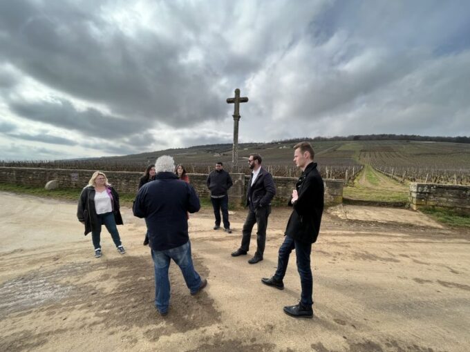 Cote De Nuits Private Local Wineries and Wine Tasting Tour - Exploring the Vineyard Landscapes