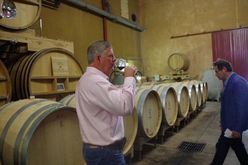 Coteaux D'aix-En-Provence 8-Hour Winery Tour - Just The Basics