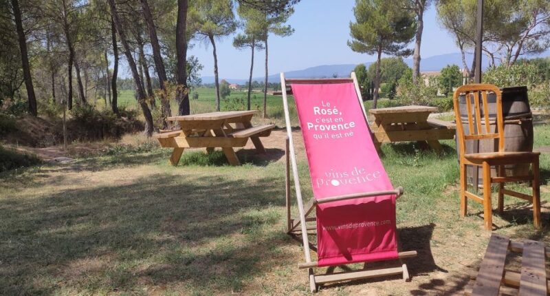 Coteaux D'aix-En-Provence 8-Hour Winery Tour - Winery Visits and Tastings