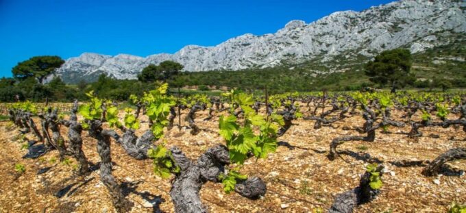 Coteaux D'aix: Ste Victoire Wine Tour & Cézanne Mill Visit - Frequently Asked Questions