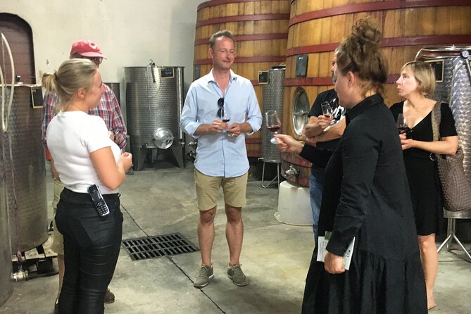 Côtes De Provence Small Group Day Trip With Winery Visits & Tastings From Nice - Lunch in Provencal Village