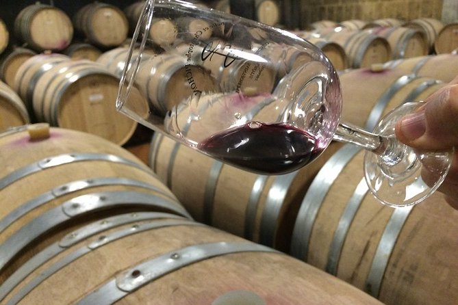 Cotes Du Rhone Wine Tour - Private Tour - Full Day From Lyon - Itinerary Highlights
