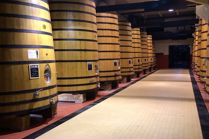 Cotes Du Rhone Wine Tour - Private Tour - Full Day From Lyon - Transportation Details