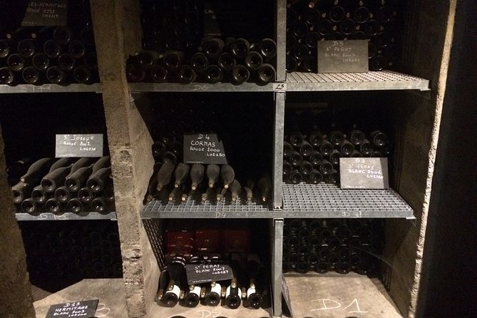 Cotes Du Rhone Wine Tour - Private Tour - Full Day From Lyon - Accessibility and Suitability