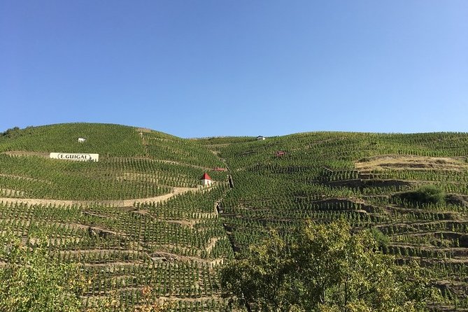 Cotes Du Rhone Wine Tour - Private Tour - Full Day From Lyon - Booking and Pricing