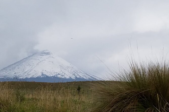 Cotopaxi Full Day Tour - Cotopaxi National Park
