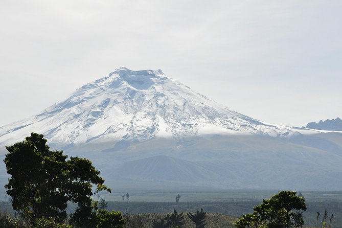 Cotopaxi Full Day Tour - All Included - Guided Hike and National Park Entrance - Itinerary and Activities