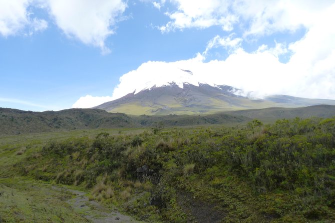 Cotopaxi Full Day Tour - Diverse Wildlife Encounters