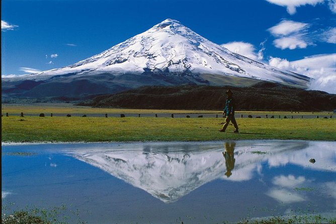 Cotopaxi Full Day Tour - Customer Experiences