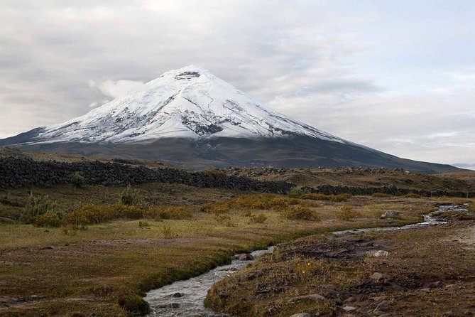 Cotopaxi National Reserve Bike and Hike Day-Trip - Hiking Amidst Breathtaking Scenery