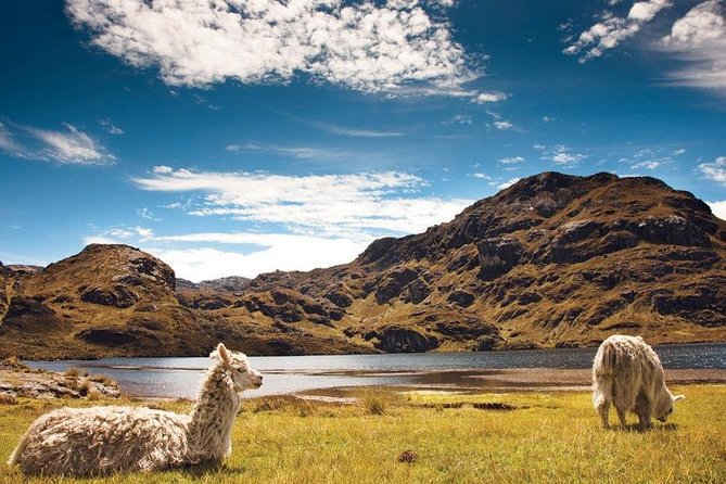 Cotopaxi & Quilotoa 1 Day Adventure! - Highlights of the Day