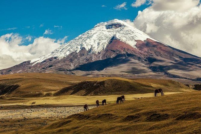 Cotopaxi & Quilotoa 1 Day Adventure! - Exploring Cotopaxi Volcano