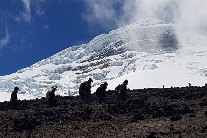 Cotopaxi Tour - Cotopaxi National Park - Local Flora and Fauna