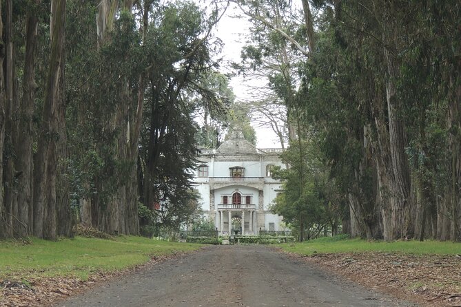 Cotopaxi Volcano and Colonial Hacienda Day Trip - Refreshments and Relaxation