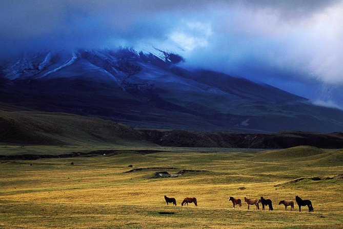 Cotopaxi Volcano: Biking Small Group Full Day Tour - Itinerary and Activities