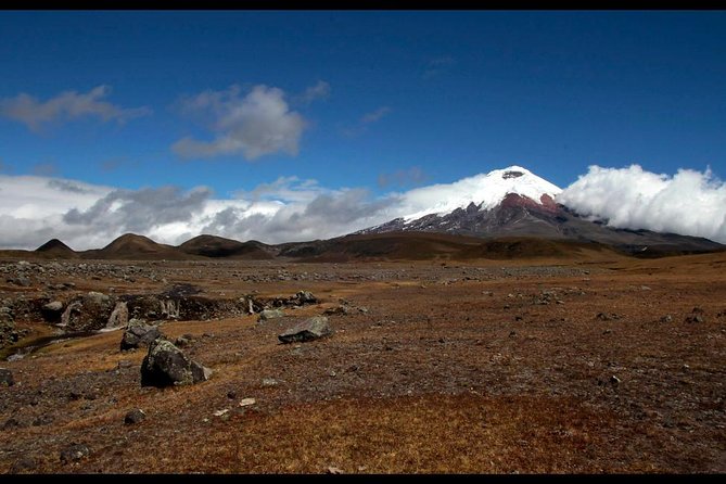 Cotopaxi Volcano From Quito - Private Tours - Biking in Cotopaxi National Park