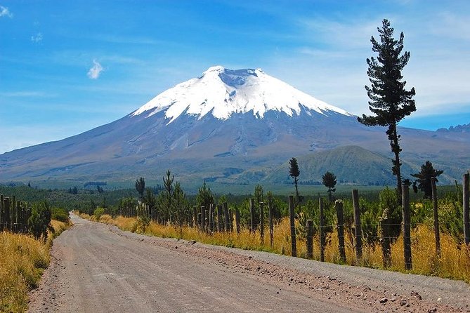 Cotopaxi Volcano From Quito - Private Tours - Encounter With Local Wildlife