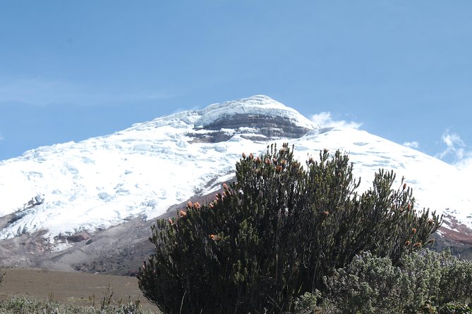 Cotopaxi Volcano (Private Day Trip From Quito) - Itinerary Overview